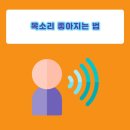찐 보이스 만들기 특강 후기 / 목소리 좋아지는 법에 대해 알아봅니다.(feat. 발성연습 / 교정)