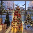 신정중학교 이미지