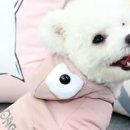 강아지 지니 네이버블로그