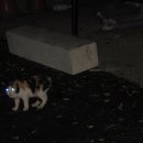 양지마을회관 이미지