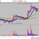 (주)피엔티코리아 이미지