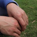 세뇨르킴 이미지