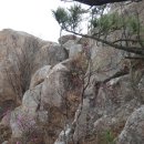 암태중학교 이미지