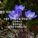 행복한하루