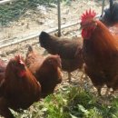 의령군농업기술센터 이미지