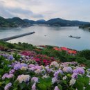 일출로5-R 이미지