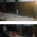 고양이 숨숨집 설치해 주라고 했더니 뚝딱 빌라 건설해 주는 아재.jpg 이미지