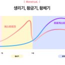 리미티드 짐 이미지