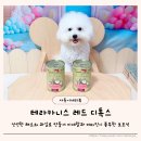디톡스 | 과일과 채소로 만든 반려견 보조식 테라카니스 레드 디톡스 후기