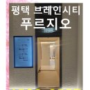 평택 브레인시티 푸르지오 중대형 프리미엄!!