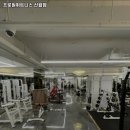 프로원휘트니스 신월 | 양천구 헬스장 프로원휘트니스 신월점 내용가격운영시간주차리뷰 알아보기