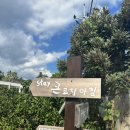 큰코지아침 이미지