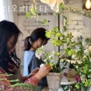 스튜디오피안타