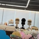 코지약국 | 휴대용유모차 대신 에이블 코지샤인 트라이크를 선택한 이유(내돈내산 솔직 후기)