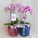 영전농장 이미지