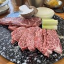 쌍둥이숯불갈비 | 파주 동백온실화로구이 한우 생갈비 주말 가족 나들이 내돈내산 예약 주차 웨이팅