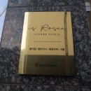 이즈로제 이미지