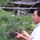 반송농장 이미지