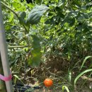 더스터닝 이미지