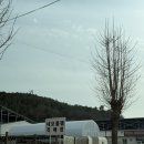 공단길 | [전남-무안] 신혼부부 살림채우기 네오플램직매장 내돈내산후기