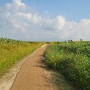 연천 호로고루 이미지