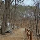 저도 아랫개 주차장 | 가산산성 가산바위가는길 복수초가 한창이예요 (feat; 시골묵집)