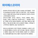 와이에스 코리아 - 서구 왕길동 | 와이에스 코리아