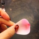 하쉬나 이미지