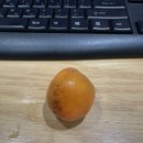 둘리노래연습장 이미지