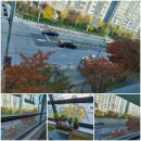 더참좋은요양보호사교육원