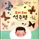 나비초등학교 | 모아 모아 석주명_나룰초등학교 1학년 한우리 수업 후기