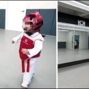 경희대강찬태권도 이미지