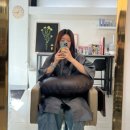 살롱드 메르시 이미지