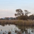 강변에서 이미지