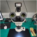 OLYMPUS 실체현미경 SZ61TR 간단사용기 및 사용후기