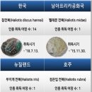 청산바다영어조합법인 머니투데이