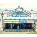 천안상록리조트 이미지