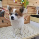 이쁘개(내포신도시점) 이미지