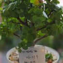 폴브레드 이미지