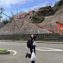 심원면자전거길3 | 대마도 자전거 코스 당일치기 ㅣ 거리·시간·난이도 솔직 후기