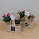 꽃향기 플라워 이미지