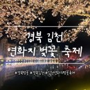 김천시문화예술회관 | [경북 김천 축제] 김천 연화지 벚꽃 축제 야경🌸🌃 | 주차 꿀팁
