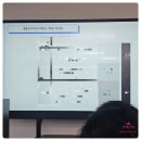 청년취업사관학교 서대문캠퍼스 | X새싹] AI와 데이터로 완성하는 K-POP 마케팅 실무 과정 : 1주차 후기 (청년취업사관학교 금천 캠퍼스)