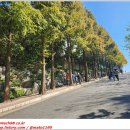 멘데해안길 이미지