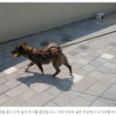 공감 이미지