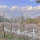 경춘로1953 | [카라반] 경기 남양주 카라반2696 후기