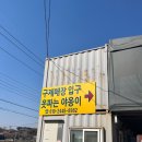 구제파는고양이