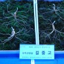 한방농장 이미지