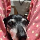 말랑말랑 이미지