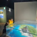 세계자연유산센터 | 입장료 무료 꿀팁?! 화산 좋아하는 아이와 제주 세계자연유산센터 4D·VR까지 100% 즐기기